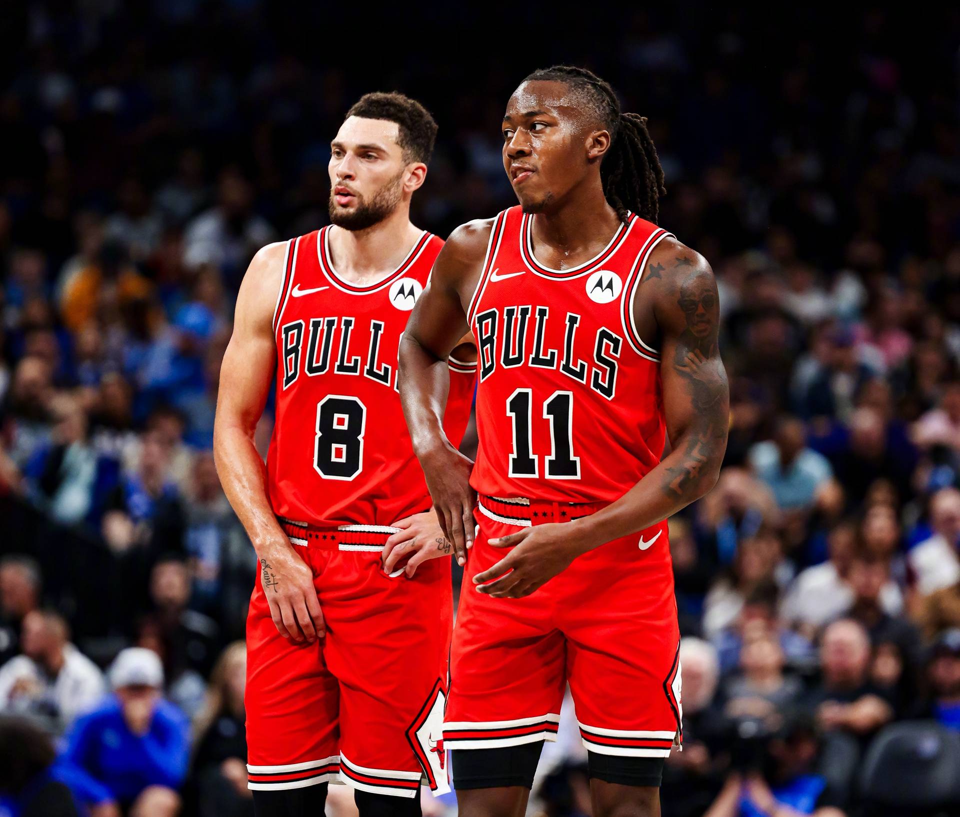 凯尔特人不敌公牛,遭遇失利 凯尔特人不敌公牛,遭遇失利